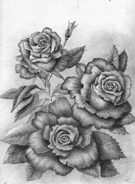 Красивый цветок простым карандашом