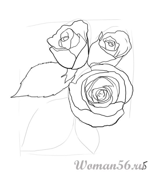 Букет роз карандашом для начинающих