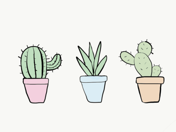 Кактус для срисовки