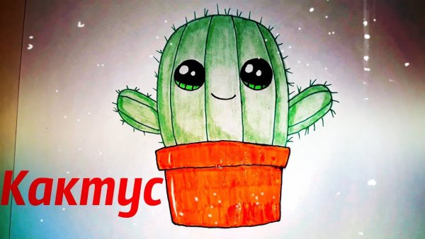 Кактус рисунок