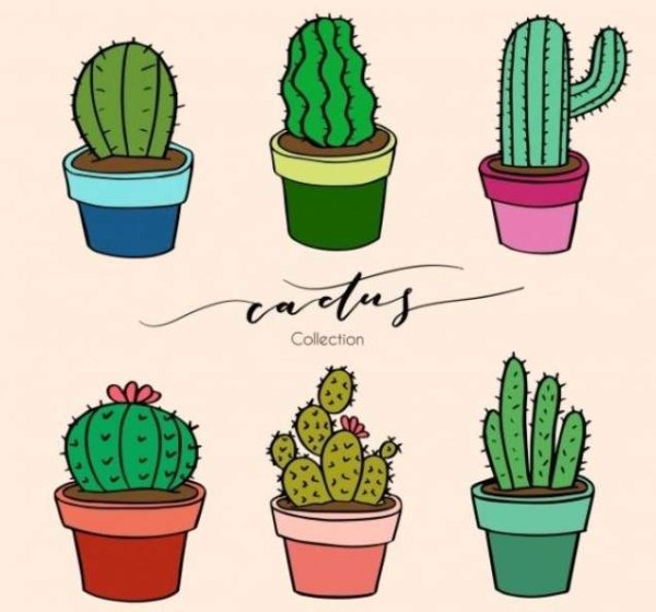 Мини карточки кактусы рисуночки