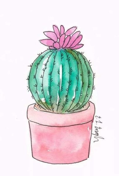 Кактус для срисовки