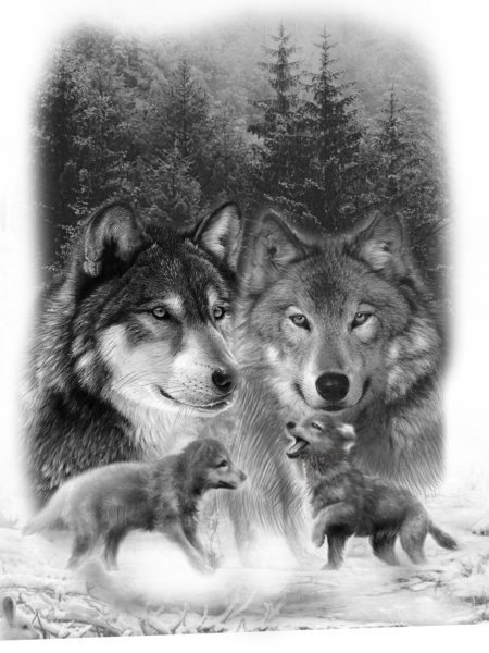 Волк волчица и 2 волчонка