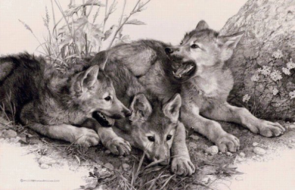 Карл Брендерс волки