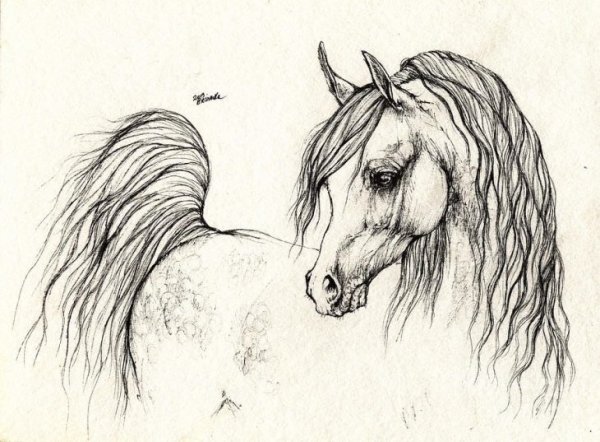 Лошадь цветными карандашами