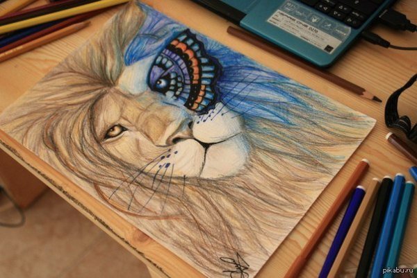 Рисунки цветными карандашами сложные и красивые