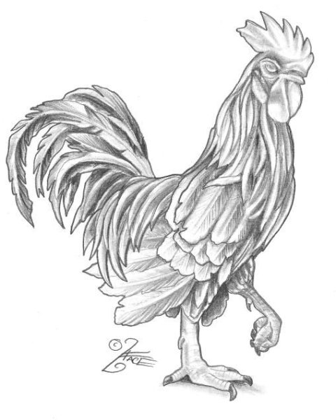 Петух карандашом
