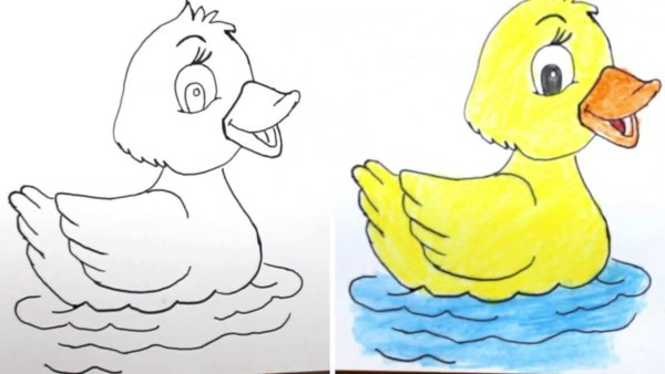 Утенок карандашом