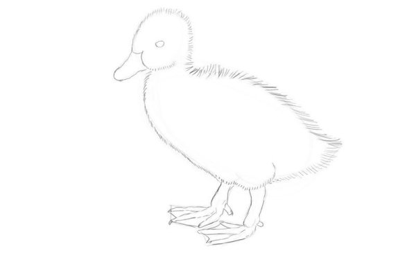 Рисование для детей