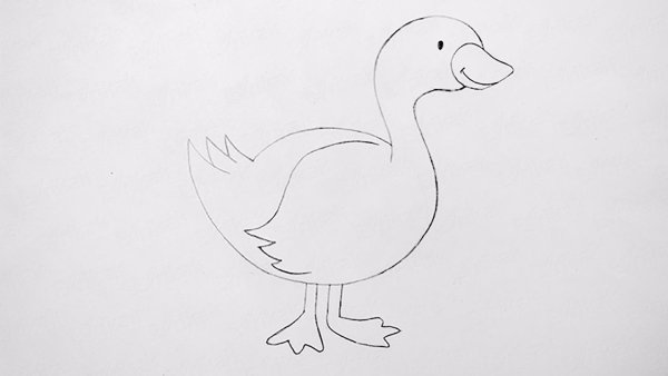 Гадкий утенок