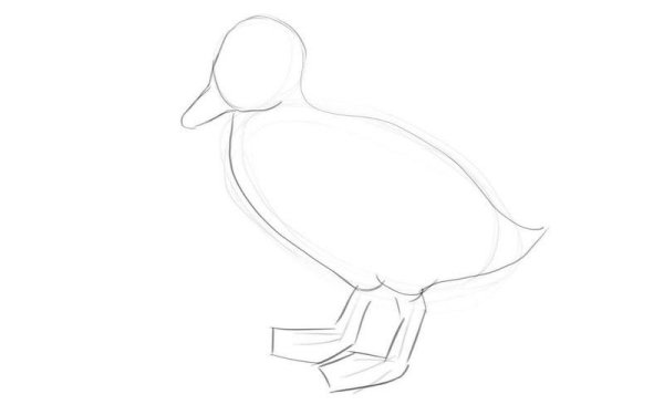 Утка для рисования