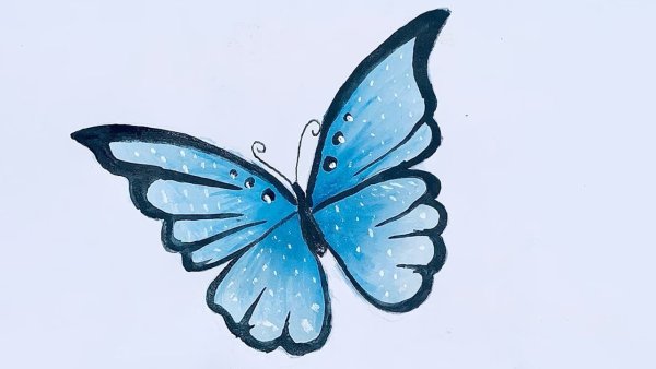 Бабочка рисунок