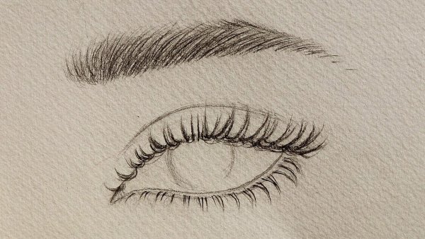 Макияж бровей волосковая техника карандашом
