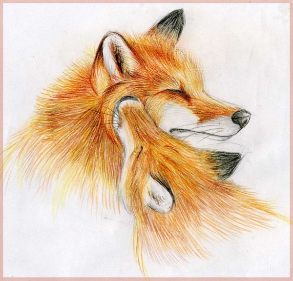 Лисичка рисунок