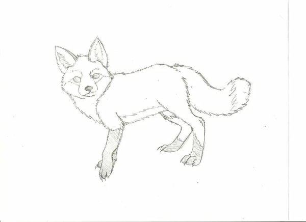 Рисунок лисы карандашом для срисовки