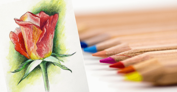 Живопись цветными карандашами