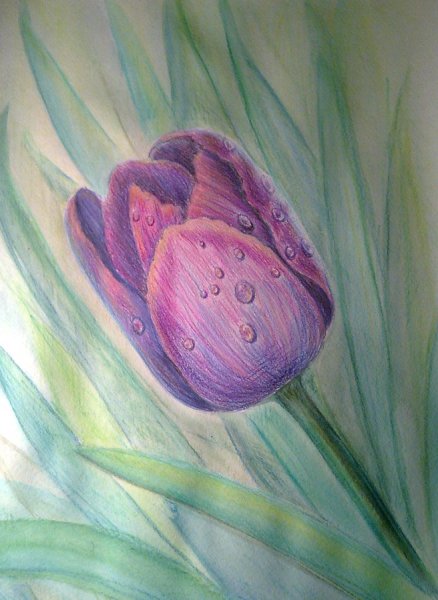 Пастель для рисования