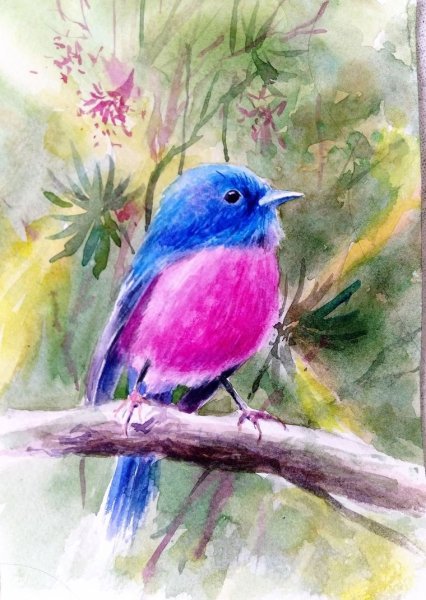 Акварель и цветные карандаши