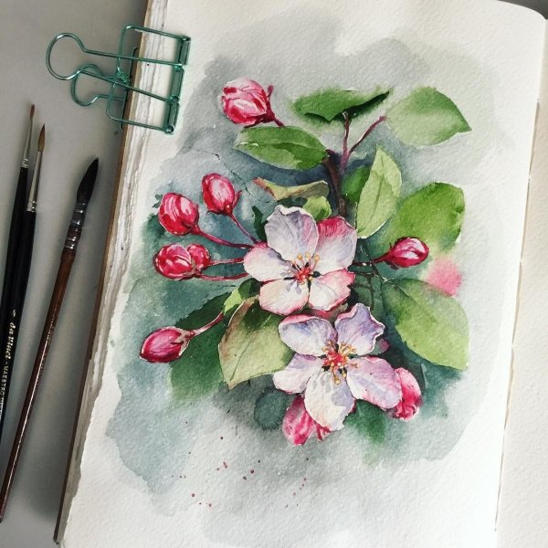 Рисунки цветными карандашами