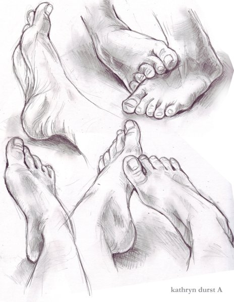 Анатомия рног для рисования