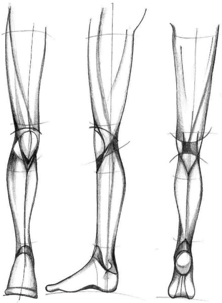 Позы женских ног для рисования