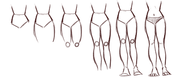 Ноги референс анатомия