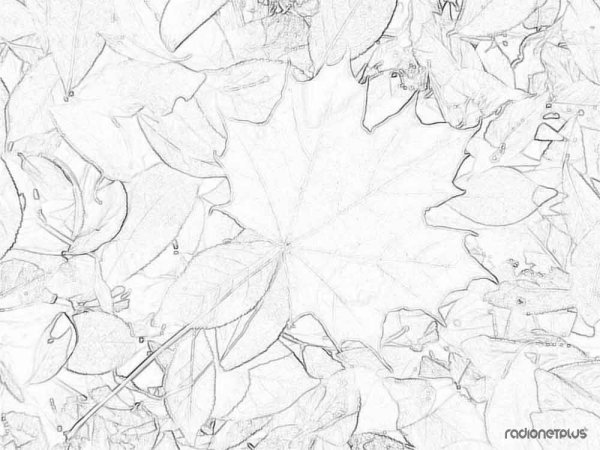 Осень раскраска для детей