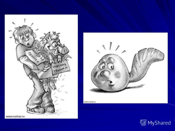 Сбоку припека фразеологизм