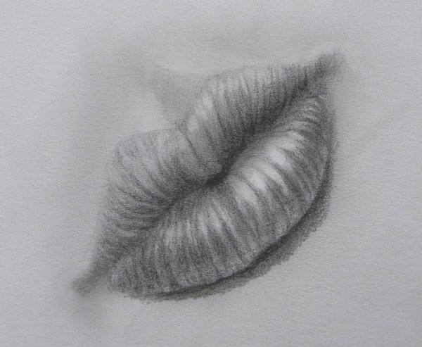 Рисунки карандашом штриховка