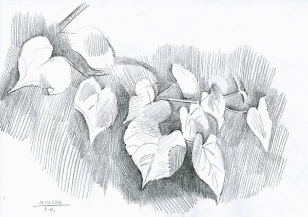 Яблоко штриховка карандашом