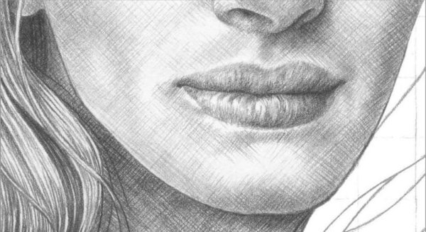 Наброски карандашом для начинающих