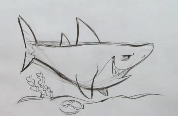 МЕГАЛОДОН рисунок карандашом для срисовки