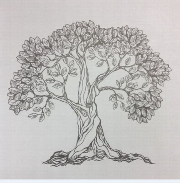 Красивый дуб карандашом
