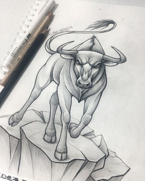 Бык карандашом