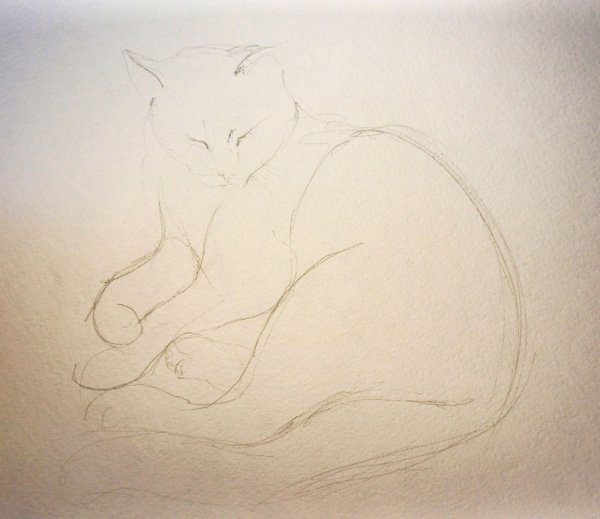 Альбомные листы для рисования