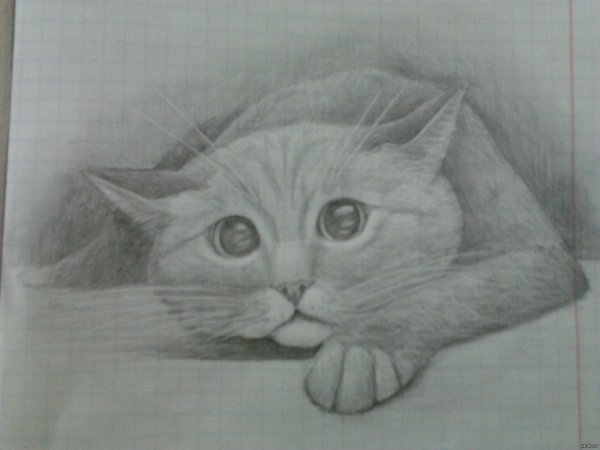 Рисунки на свободную тему для срисовки