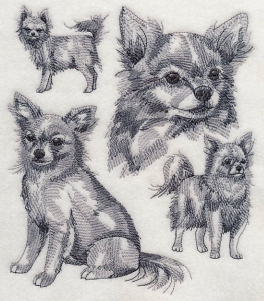 Животные Графика шерсть