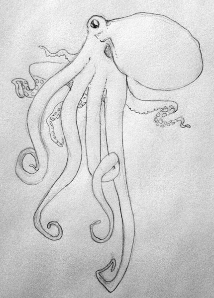 Осьминог карандашом