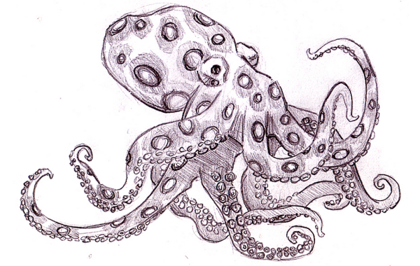 Красивый легкий рисунок осьминога