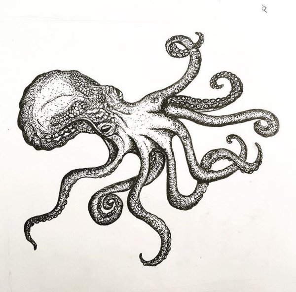 Схема рисования осьминога для детей