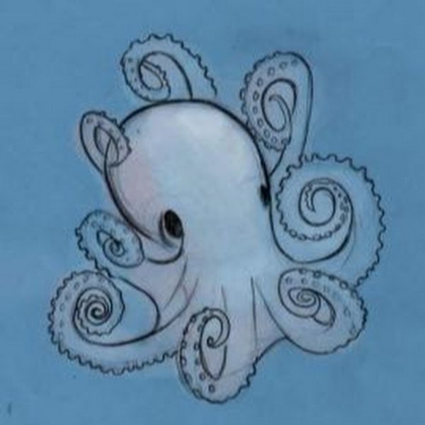 Осьминог эскиз простой