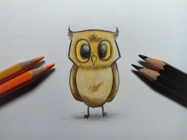 Рисование акварельными карандашами