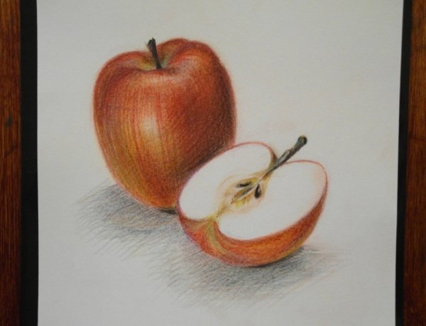 Рисование акварельными карандашами для начинающих