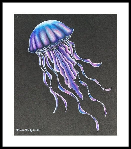 Медуза корнерот