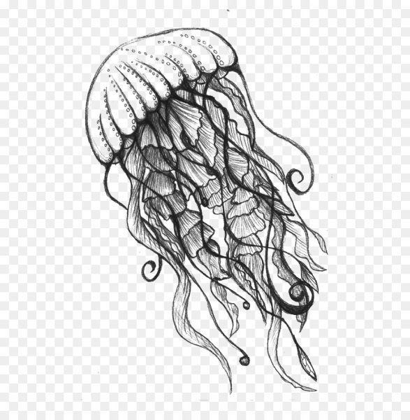 Медуза тату эскиз