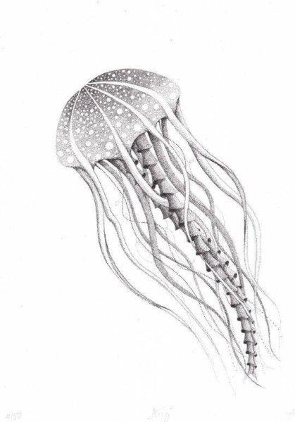 Стилизованная медуза