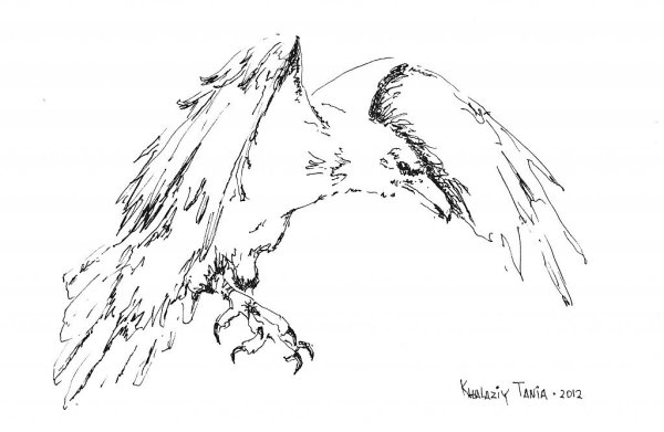 Ворона рисунок