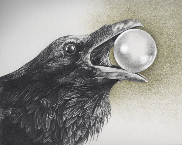 Ворон в полете эскиз