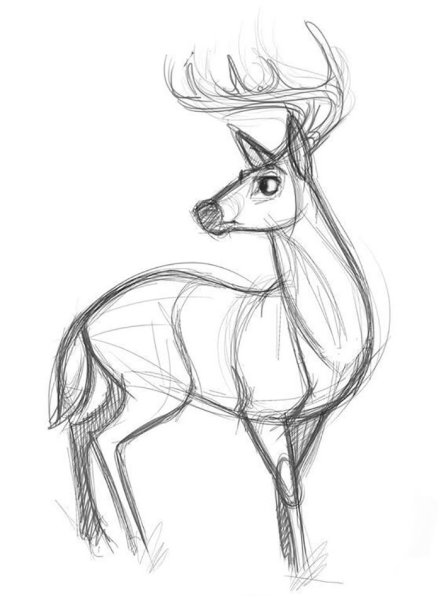 Ариель Дисней для срисовки