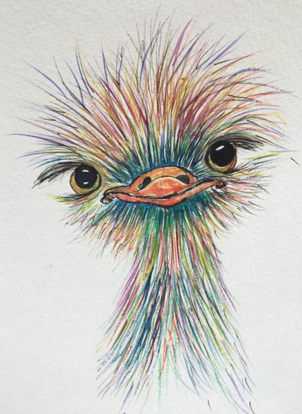 Карандаши цветные